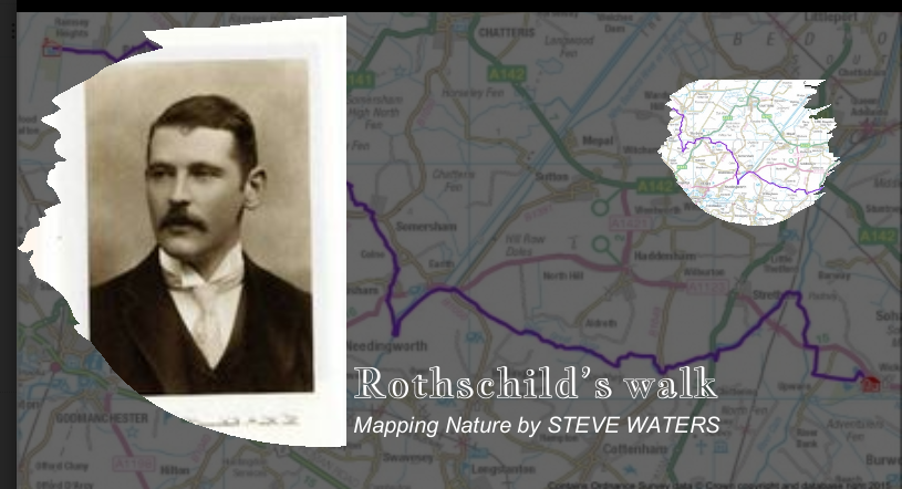 ROTHSCHILD'S WALK - MAPPING NATURE BY STEVE WATERS 
