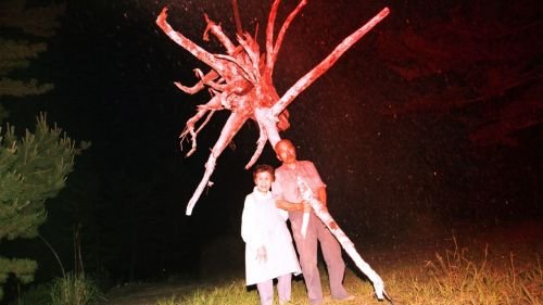 PICTURING THE INVISIBLE AT THE HEONG GALLERY