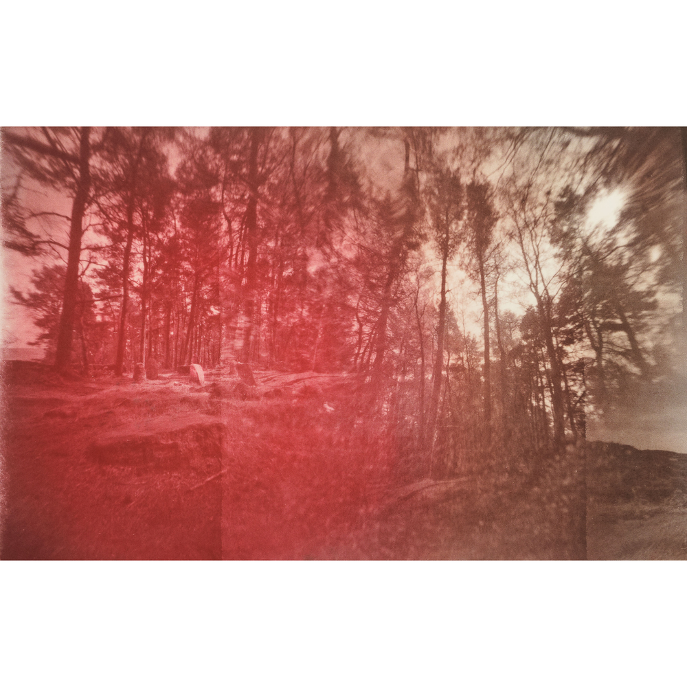 PRINT COMPETITION AT FEN DITTON GALLERY