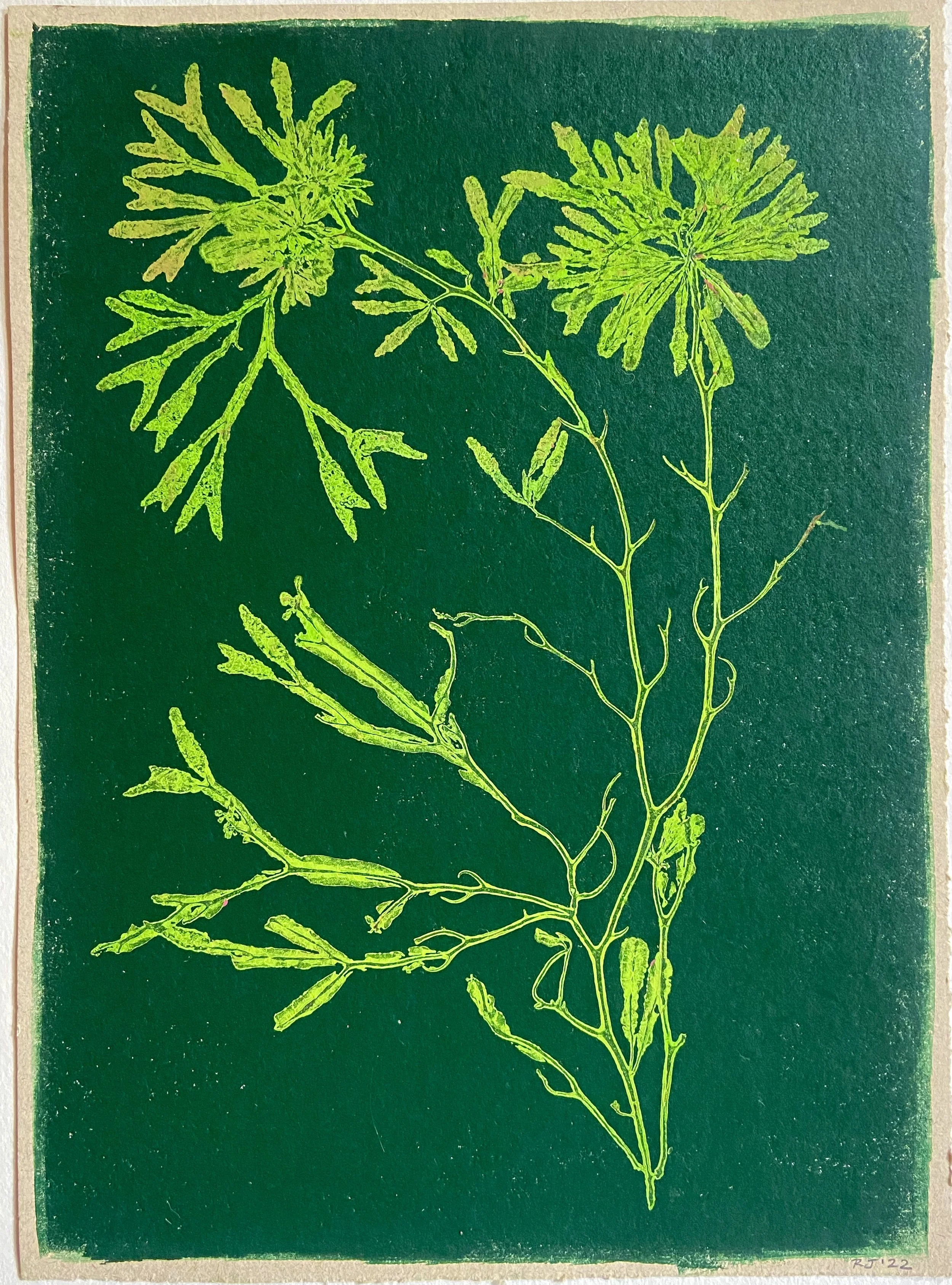 REBECCA JEWELL AT THE FEN DITTON GALLERY 