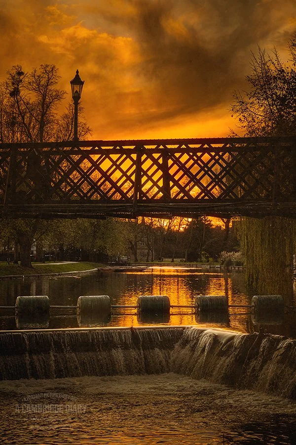 A PASSIONFRUIT AS BIG AS THE RITZ by BILL POWELL