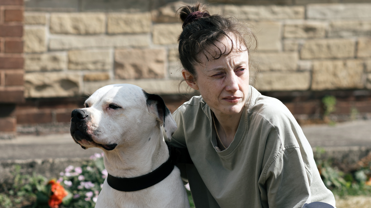 ‘DRAGONFLY’at the ARTS picture HOUSE