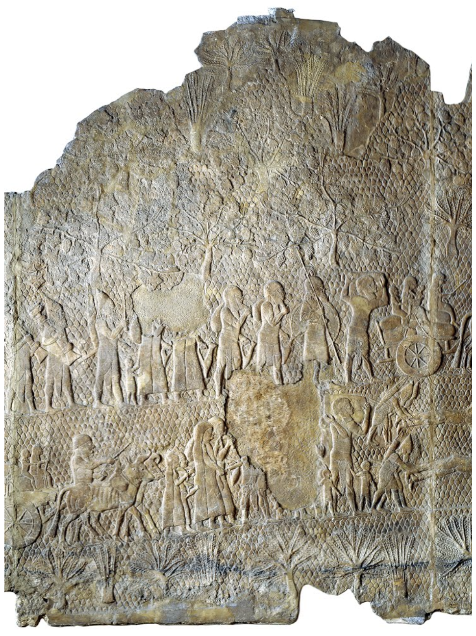 Stone panels from the South-West Palace of Sennacherib, 700-692 BCE