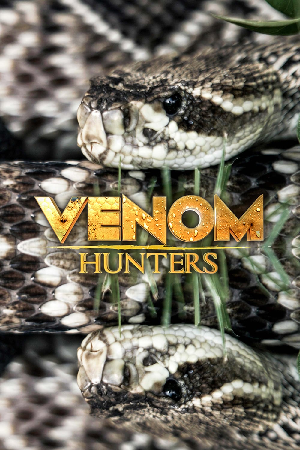 Venom Hunters.jpg