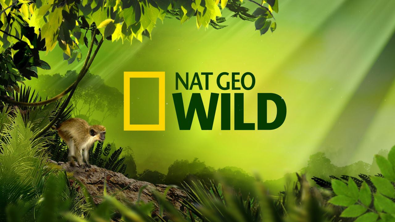 Nat Geo Wild.jpg