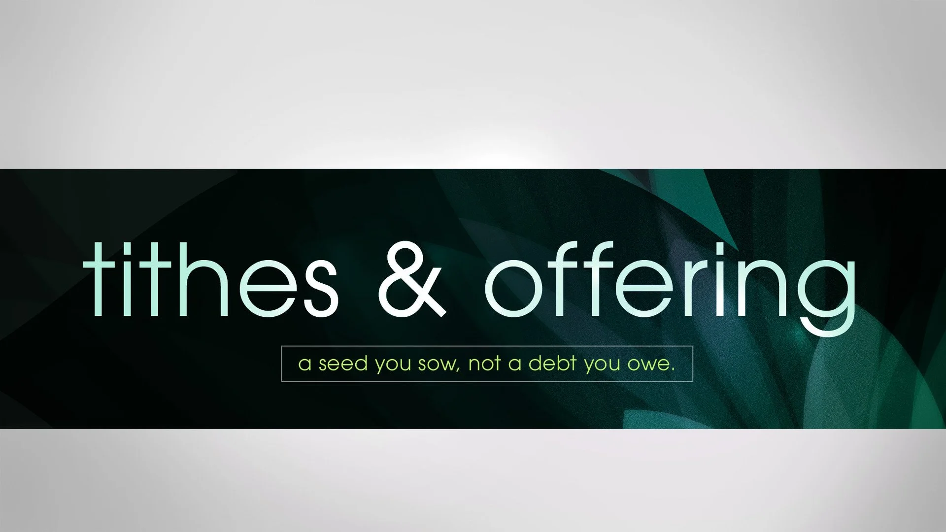 elegant_leaves_tithes_offering-title-1-Wide 16x9.jpg