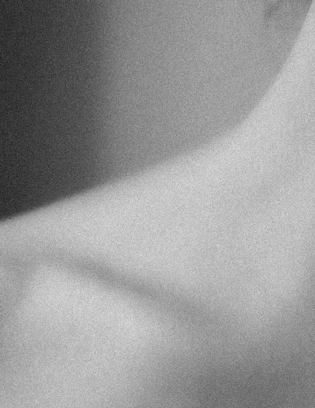 Transitional Authors 3: Lee Friedlander
