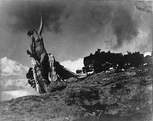 The Soul of the Blasted Pine - Anne Brigman, Public domain, via Wikimedia Commons