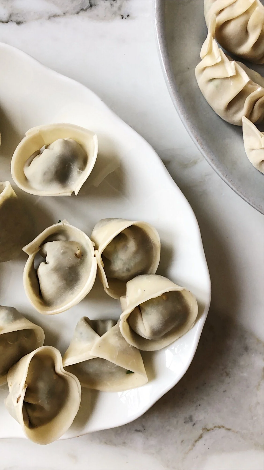 PORK MINC DUMPLINGS — ANNA