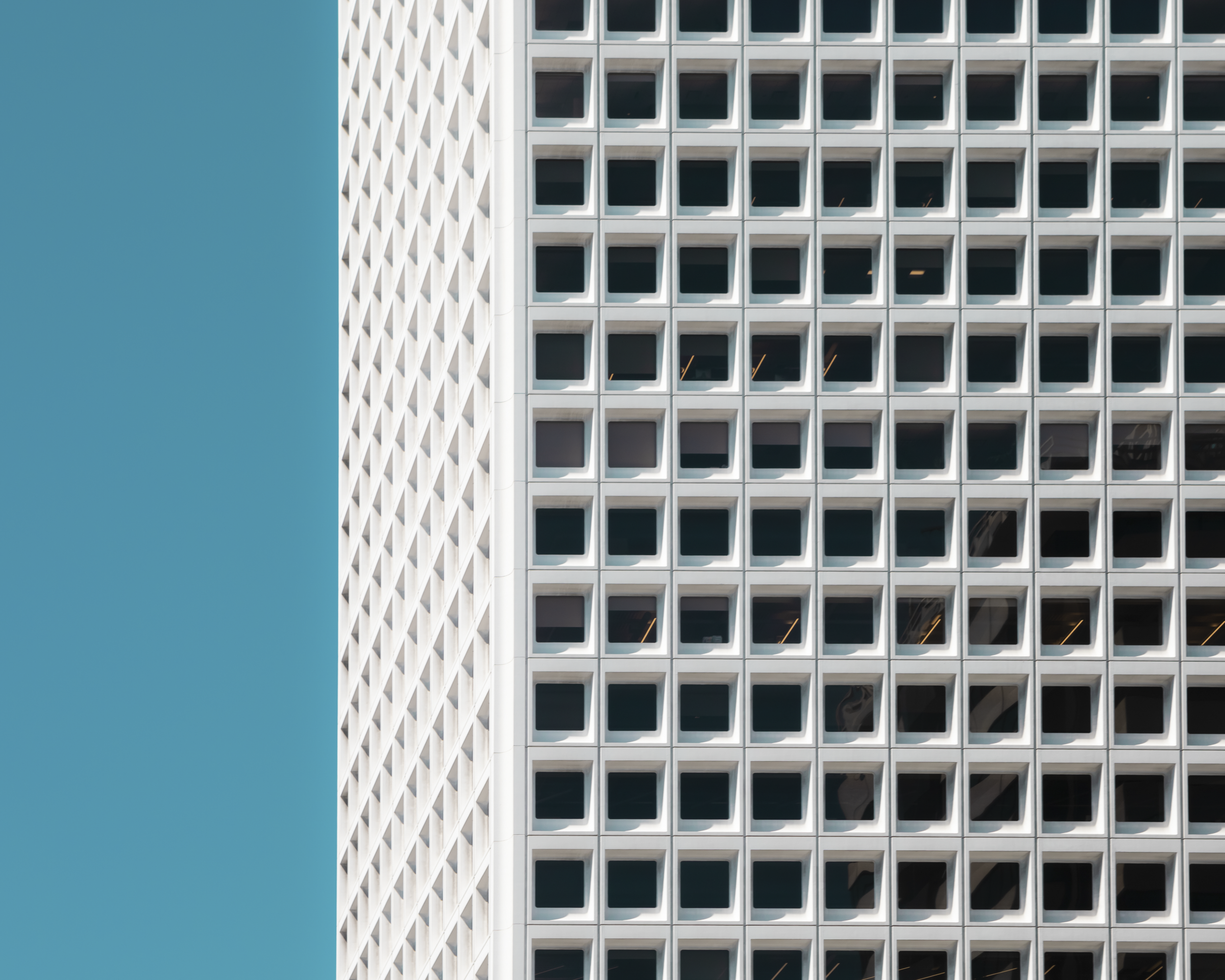 20190728-BY6A0777-4.png
