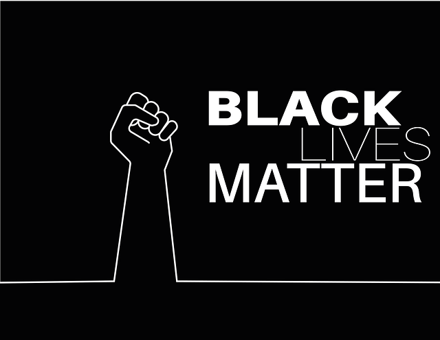 Statement of Solidarity &amp; Action Black Lives Matter