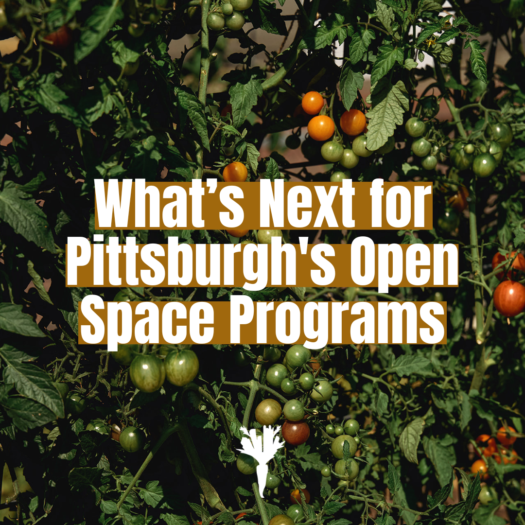 What’s Next for Pittsburgh's Open Space Programs