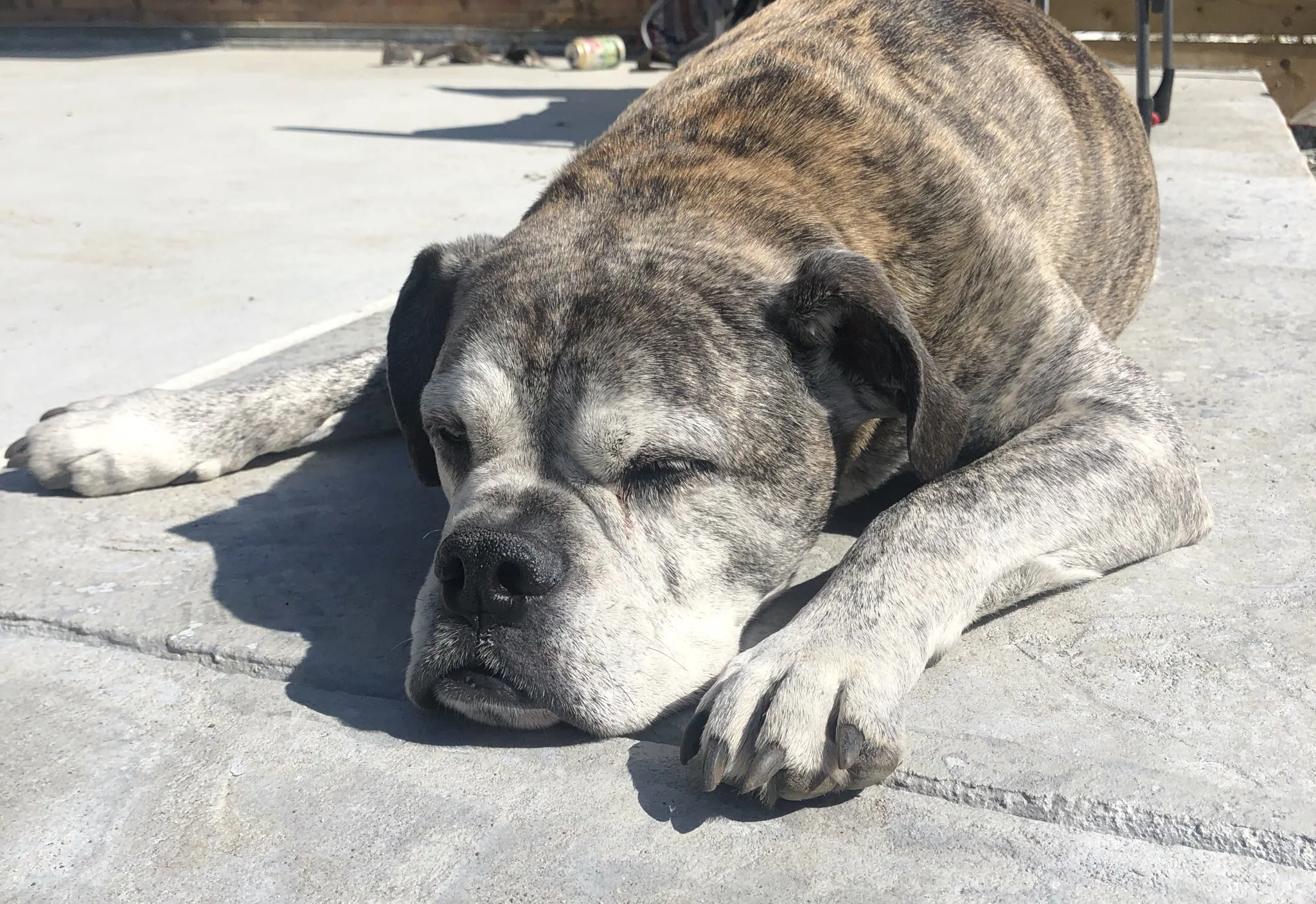 Bosco