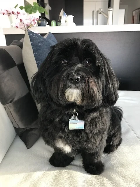 Hudson