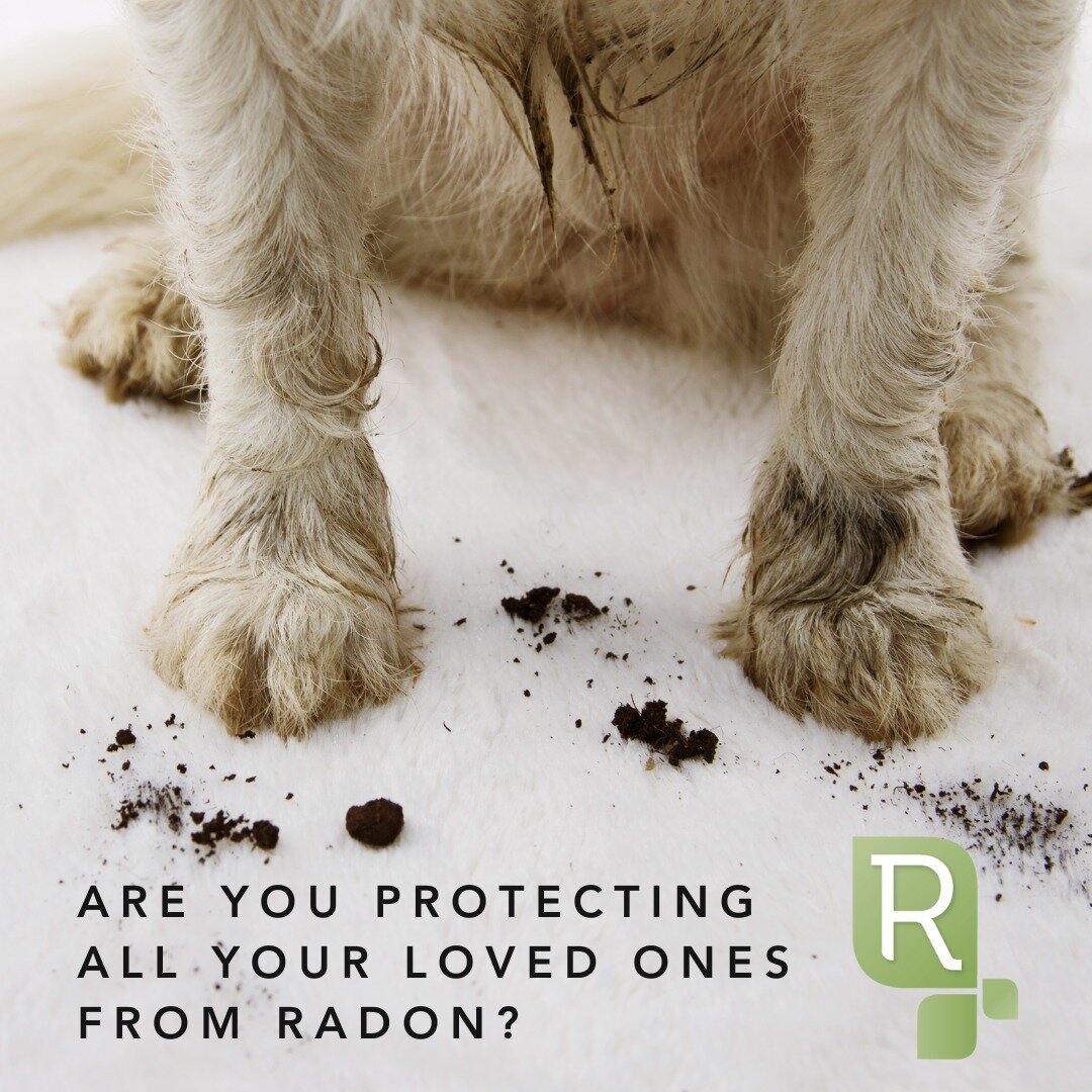 We have a responsibility to ensure our indoor air quality is safe for everyone who enters our environment.

Radon gas is the leading cause of lung cancer in non-smokers. If you have lungs, you are at risk. Have you tested for radon?

@barksideofradon