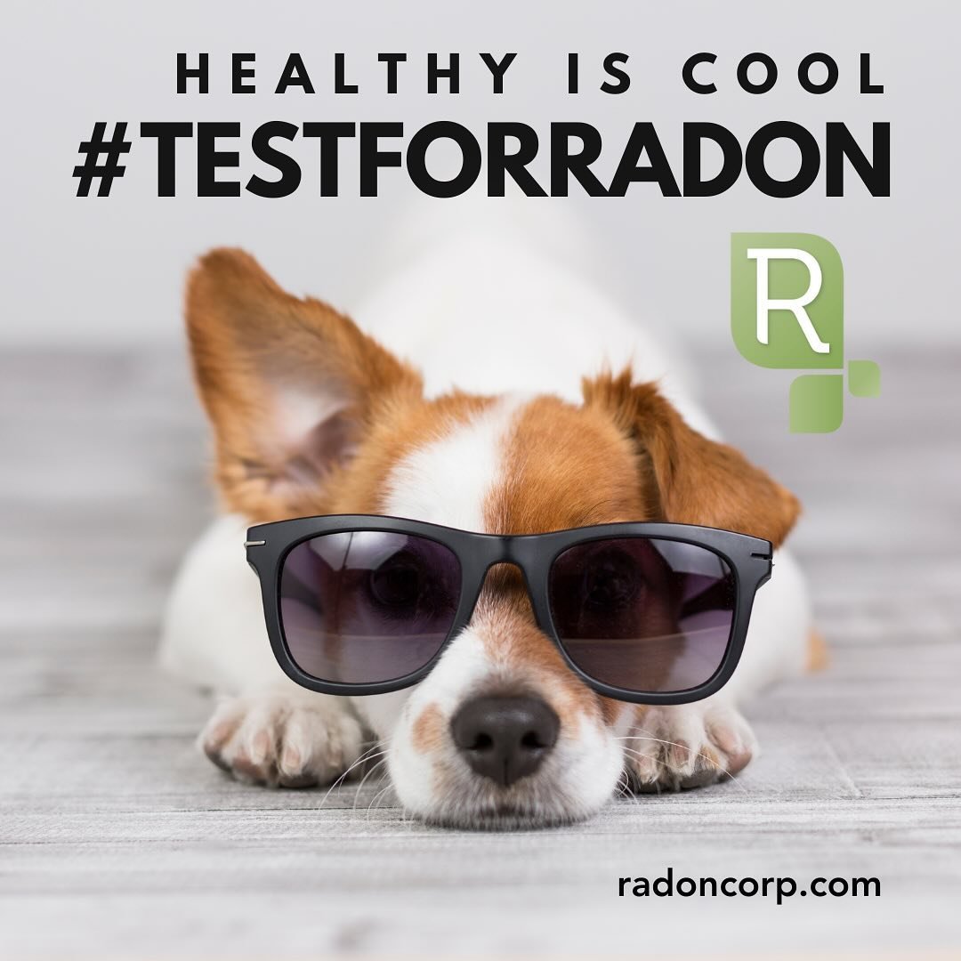 Radon gas is the no.1 cause of lung cancer in non-smokers. Let&rsquo;s prevent radon induced lung cancer, take control, test for radon. #iaq #radongas #testforradon #fraservalley #lunghealth #healthyhome #healthyfamily #wellness #lungcancer @radoncor