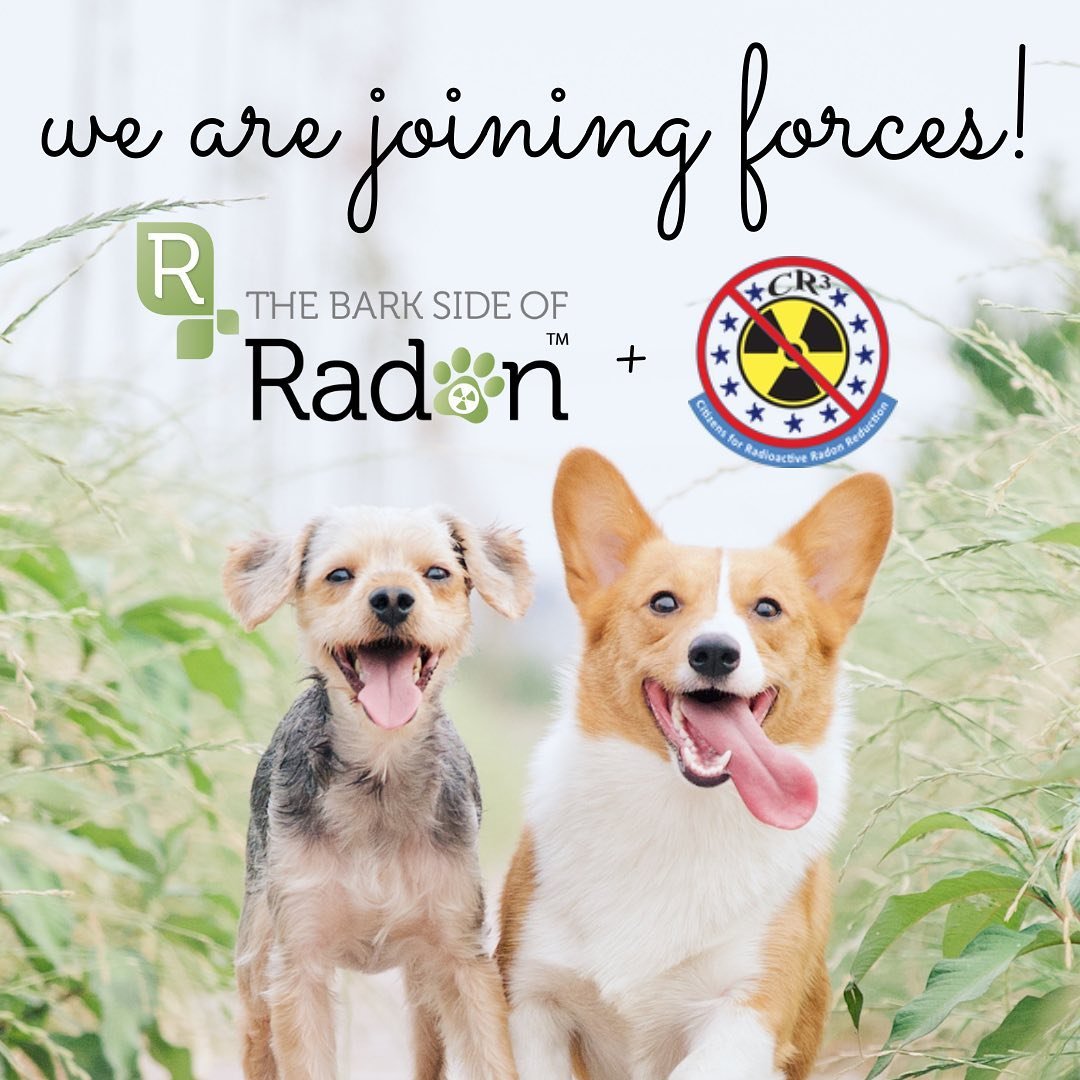 We are thrilled to work with @citizensforradonreduction to raise radon awareness through animal wellness. #testforradon and take action to protect everyone in your family. 🐾💛 #healthylungs #workingtogether #makeadifference #radongas #pethealth #lun