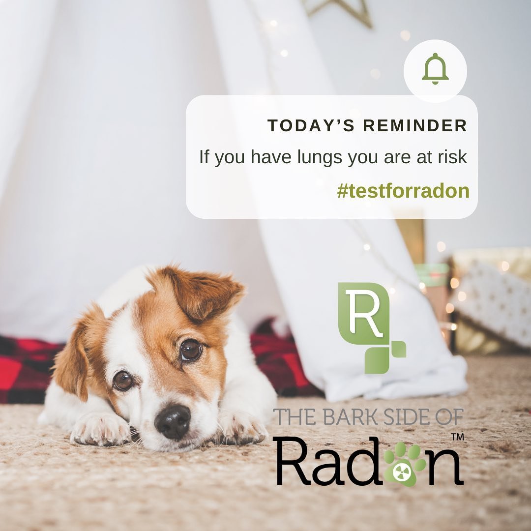 November is radon action month. In the words of the EPA&hellip; TEST. FIX. SAVE A LIFE. Testing is inexpensive and easy to do yourself #testforradon and take action to reduce your levels if necessary. #healthyhome #healthypet #lunghealth #radongas #i