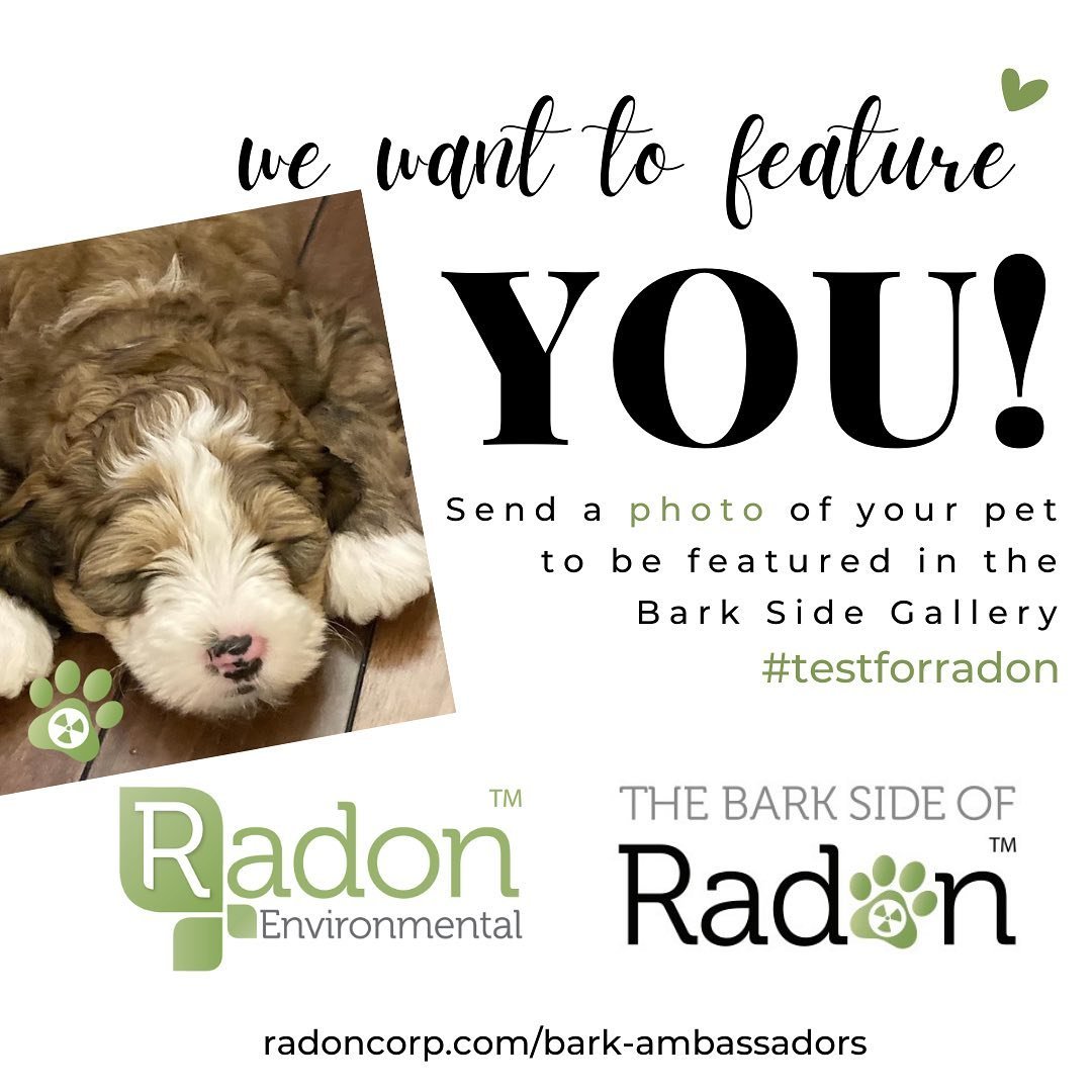 Did you #testforradon with a furry loved one in mind? 🐾 Send a photo of your pet to info@radoncorp.com and we will feature them in our Bark Gallery 💚 | radoncorp.com/bark-ambassadors #lungcancer #healthyhome #pethealth #radongas #barkradon