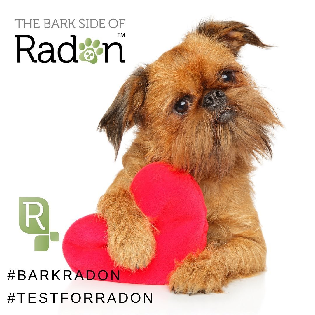 Happy Valentine&rsquo;s Day 💜💚💜 #barkradon #testforradon @radoncorp