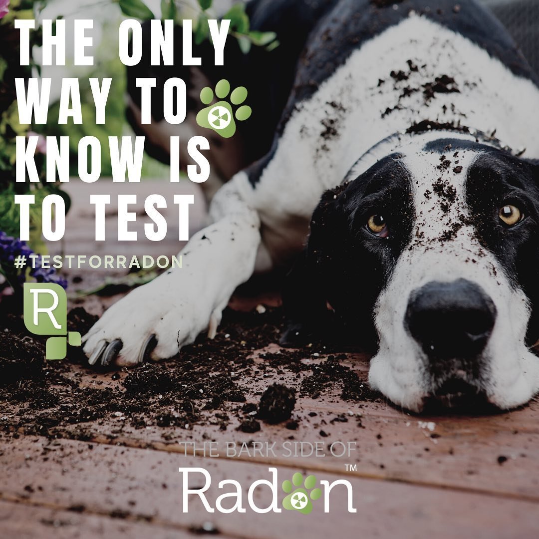 #Radon is produced from the breakdown of uranium in soil and rocks. It enters into a building or home through cracks and gaps in the foundation ➡️ When you breathe in radon gas it enters the lungs exposing you to small amounts of radiation that can d