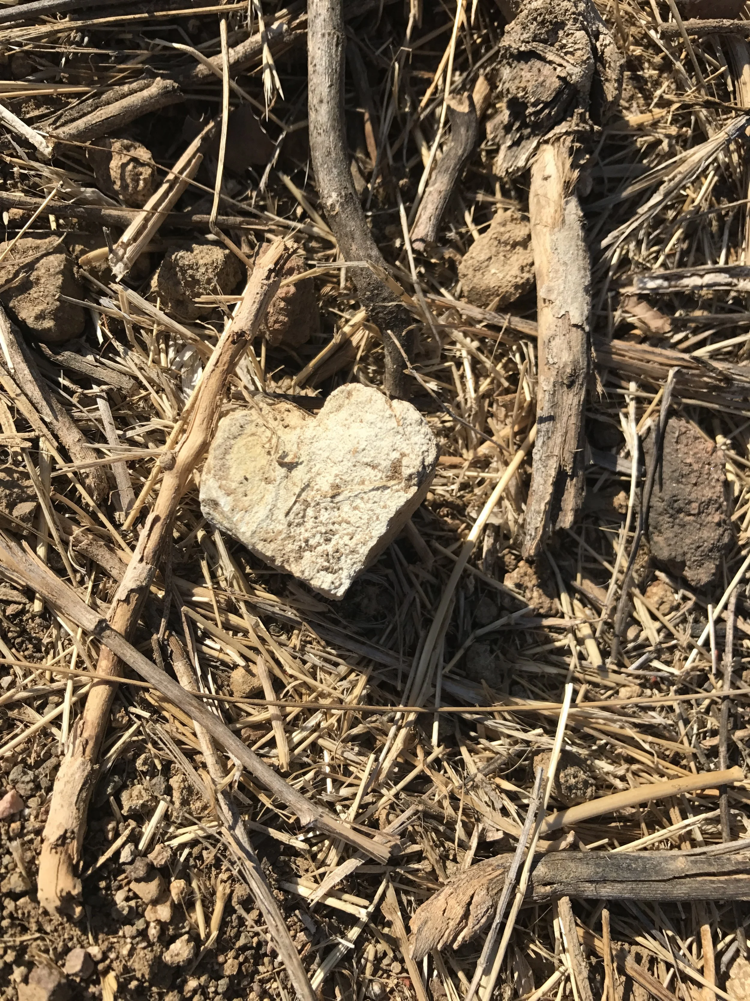 Arlington Street Fair