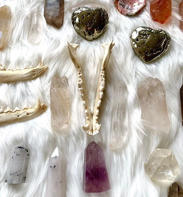 I brought so new rocks and bones to show at today&rsquo;s live sale! A few twin lemurians, only a couple of pretty fluorite towers, one green calcite and a golden lemurian! Can&rsquo;t wait to share what I&rsquo;ve got with you! I will not be doing a