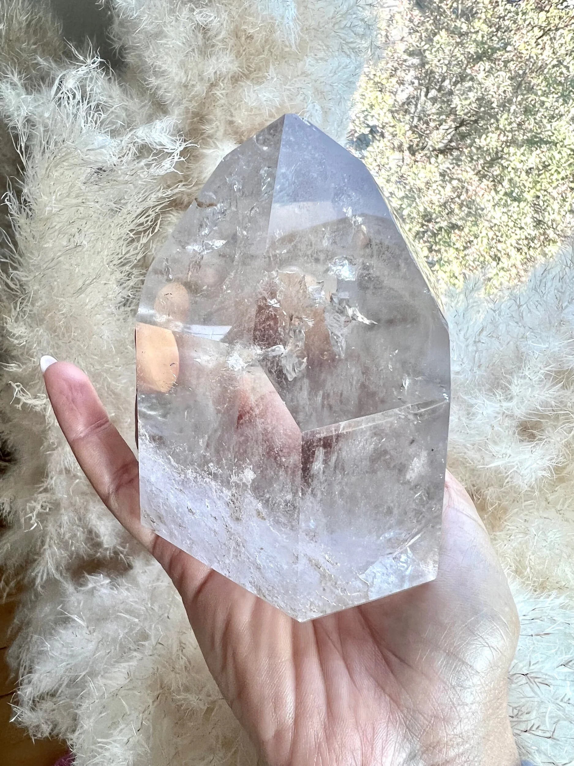 22B00D6C-FC98-4F10-84C6-904144774D49