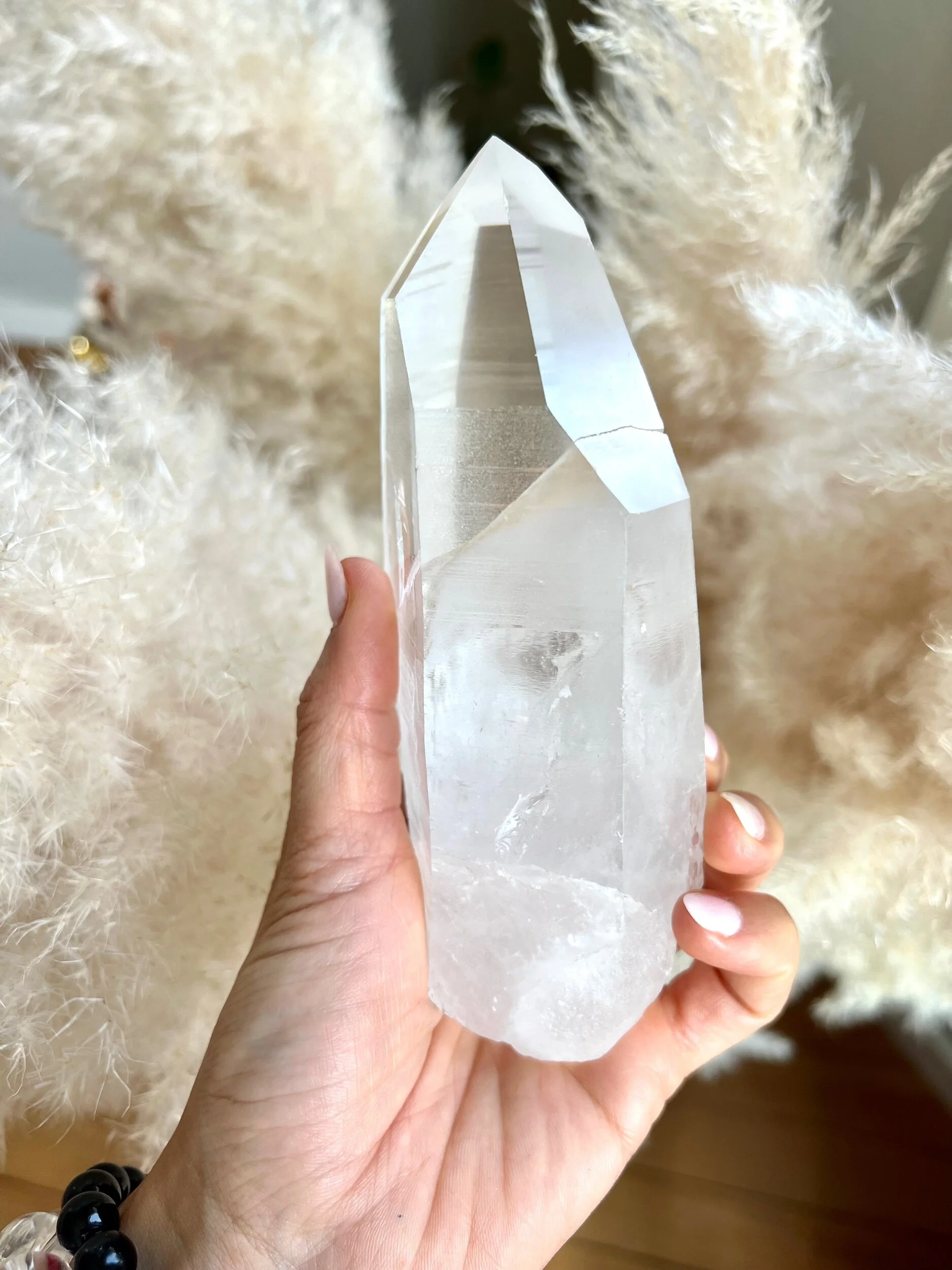 08EB149D-A964-46C2-9075-EB9B2794C783