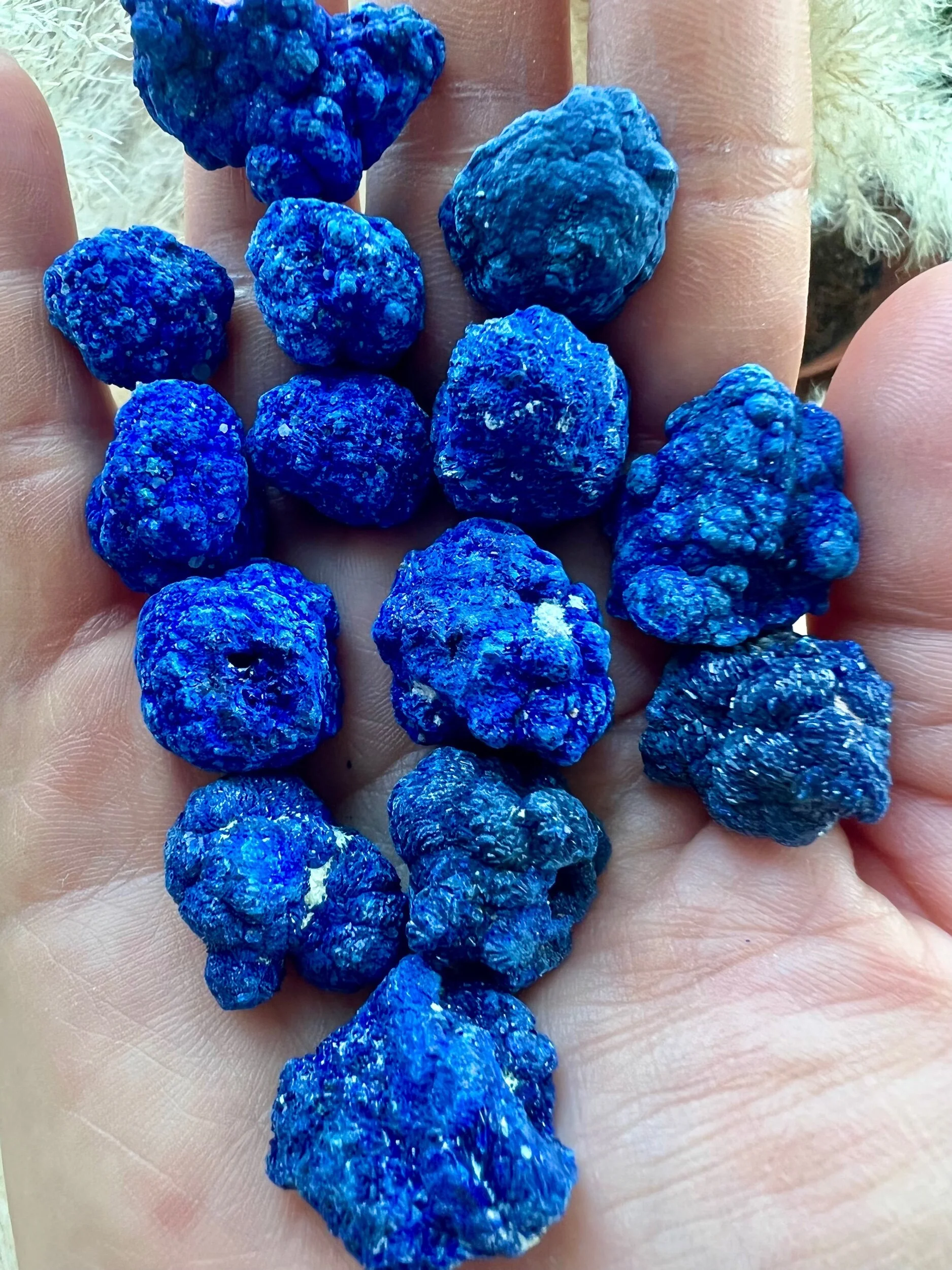 0914D60B-C40F-4CC9-B86D-EA6671C2844D