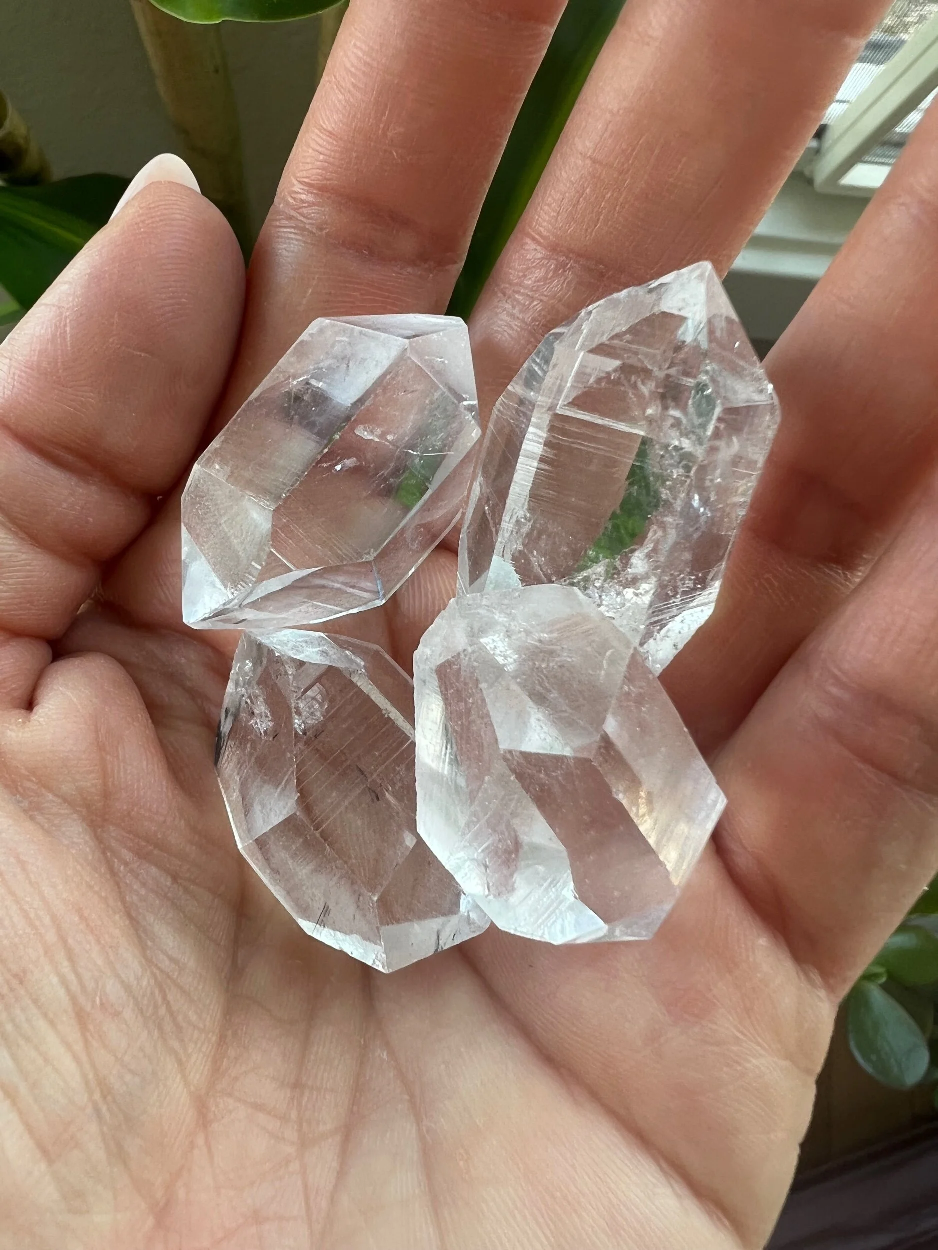 305D634F-0338-470E-B700-C6151B6074B9