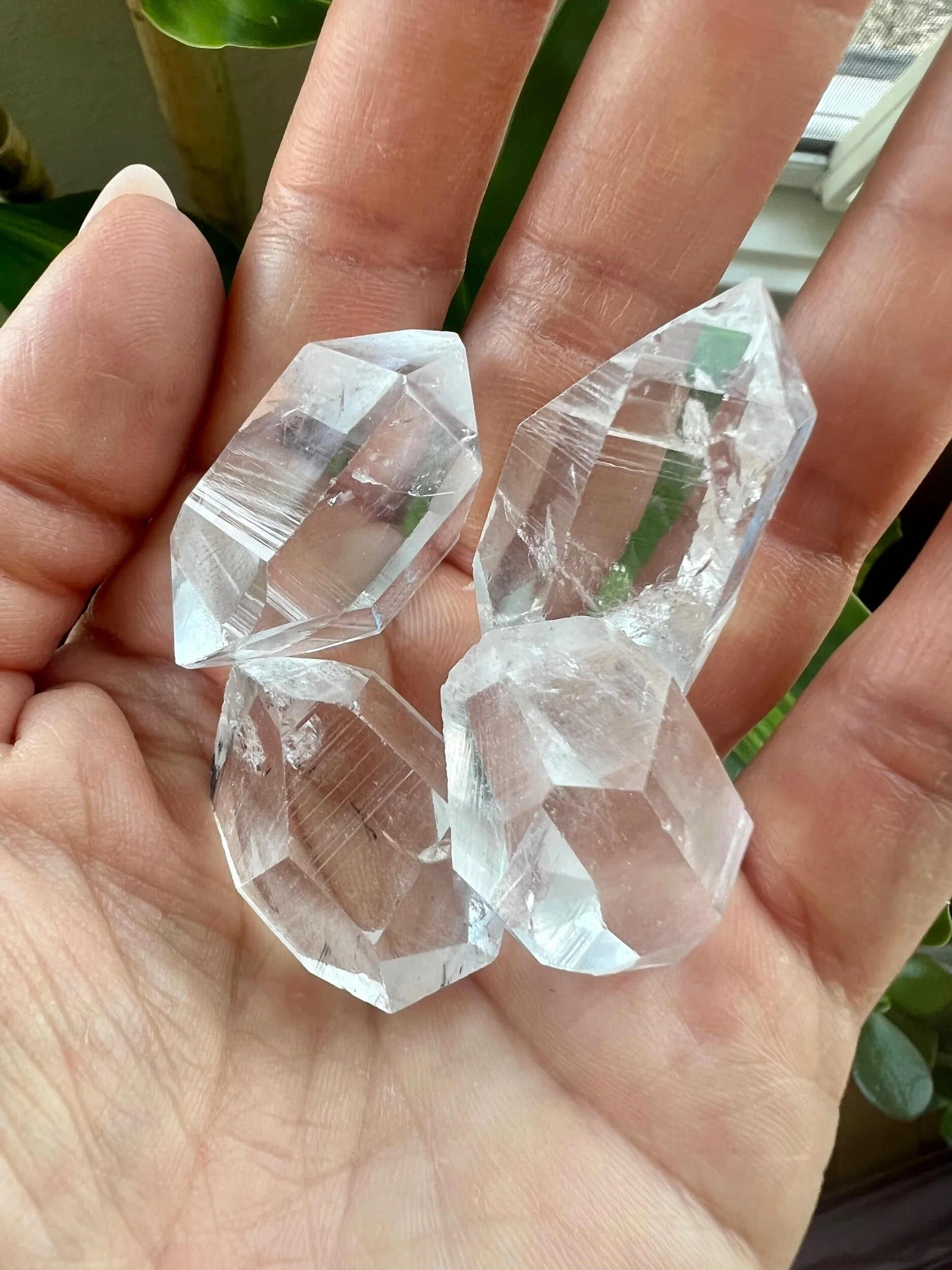 9DA6AC72-C21C-4460-81E4-17B1B8EA436F