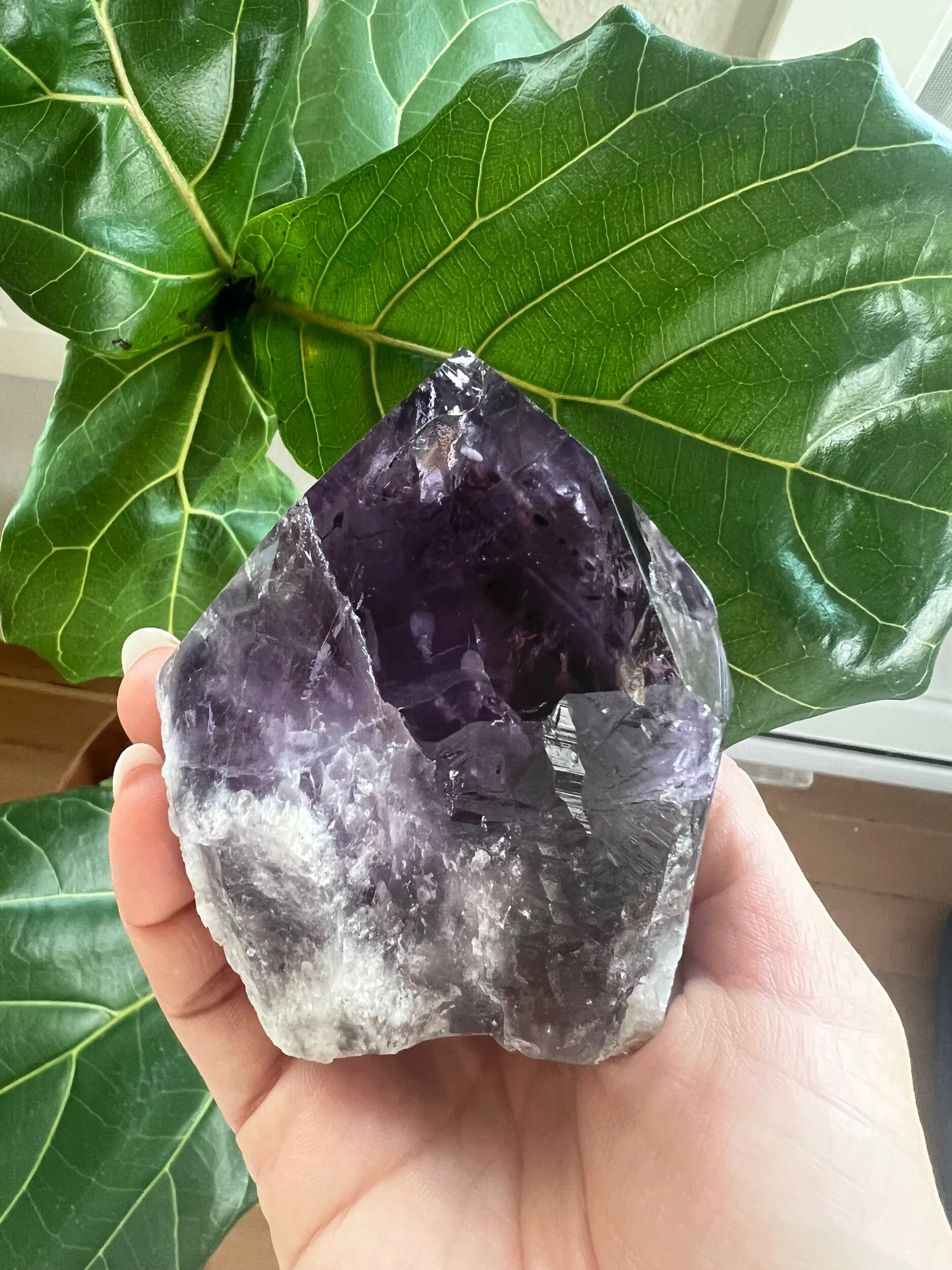 3EEC2403-577C-4805-BD23-1BA2759B6889