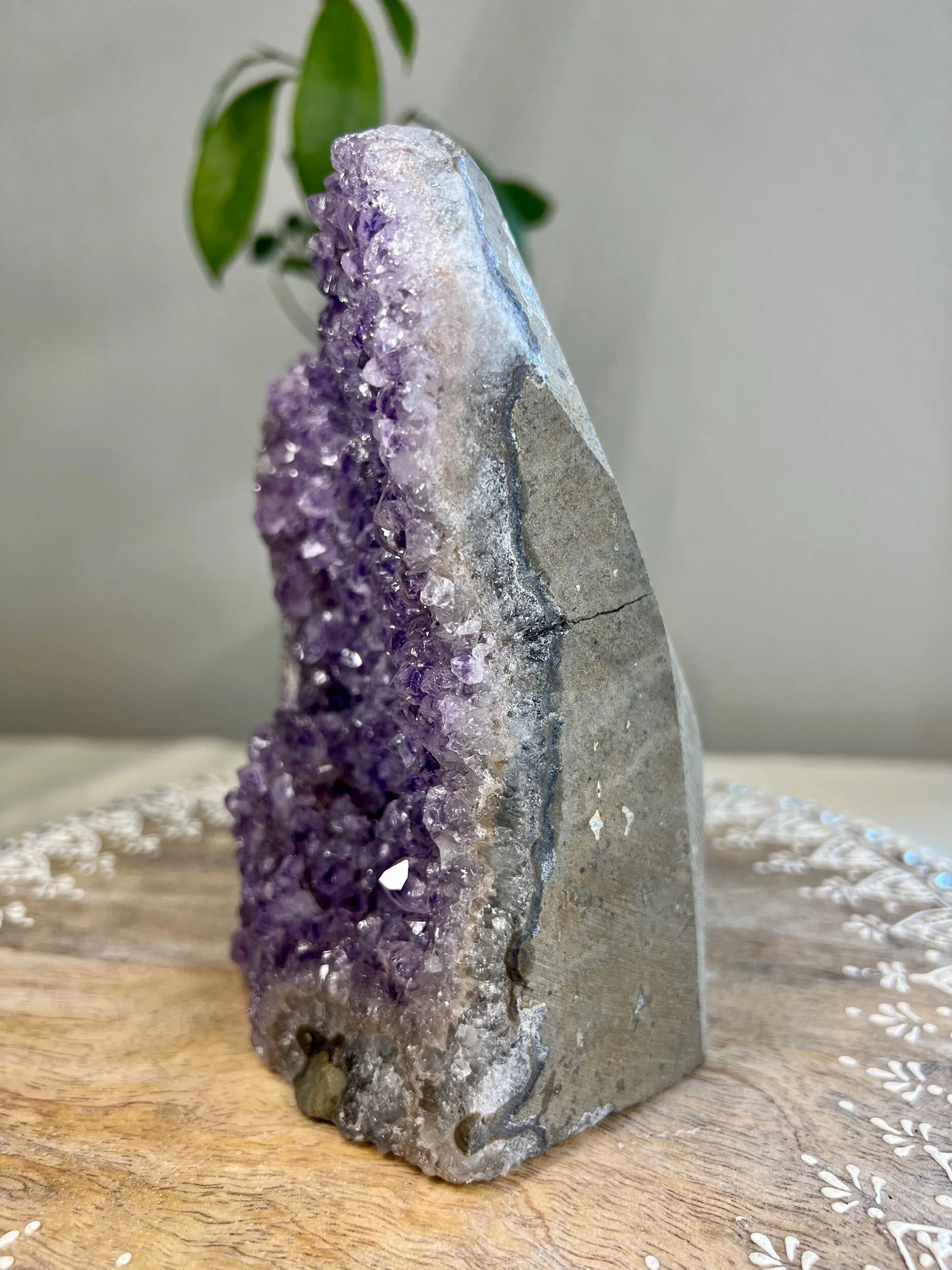 E3C8C2B7-6269-4EDB-A8E1-632030C402A0