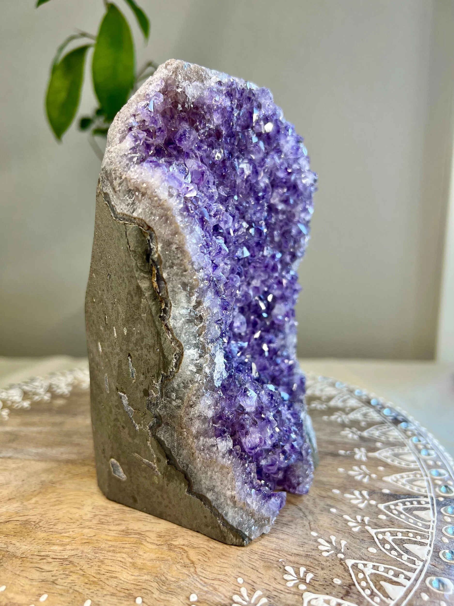 F639AE71-A0E9-484C-8C2A-56A5A82ECDDF