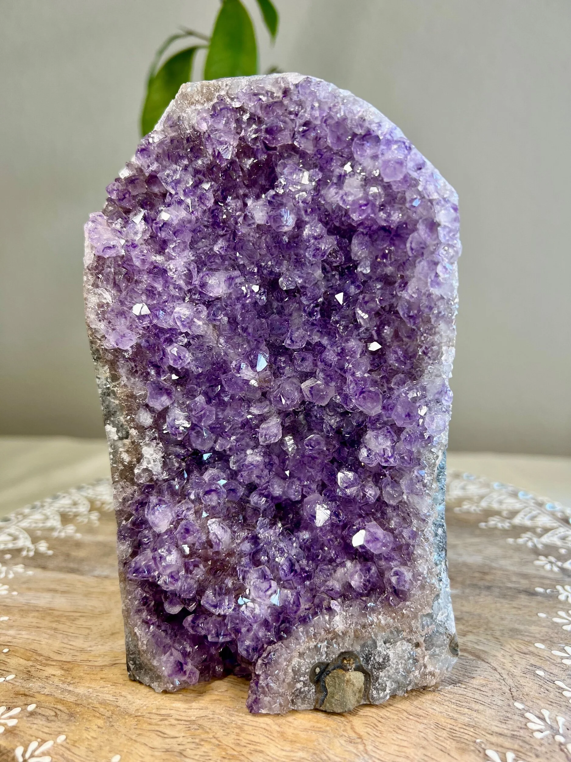 B514B6ED-F2F8-4C04-B474-2C9ECD069F82