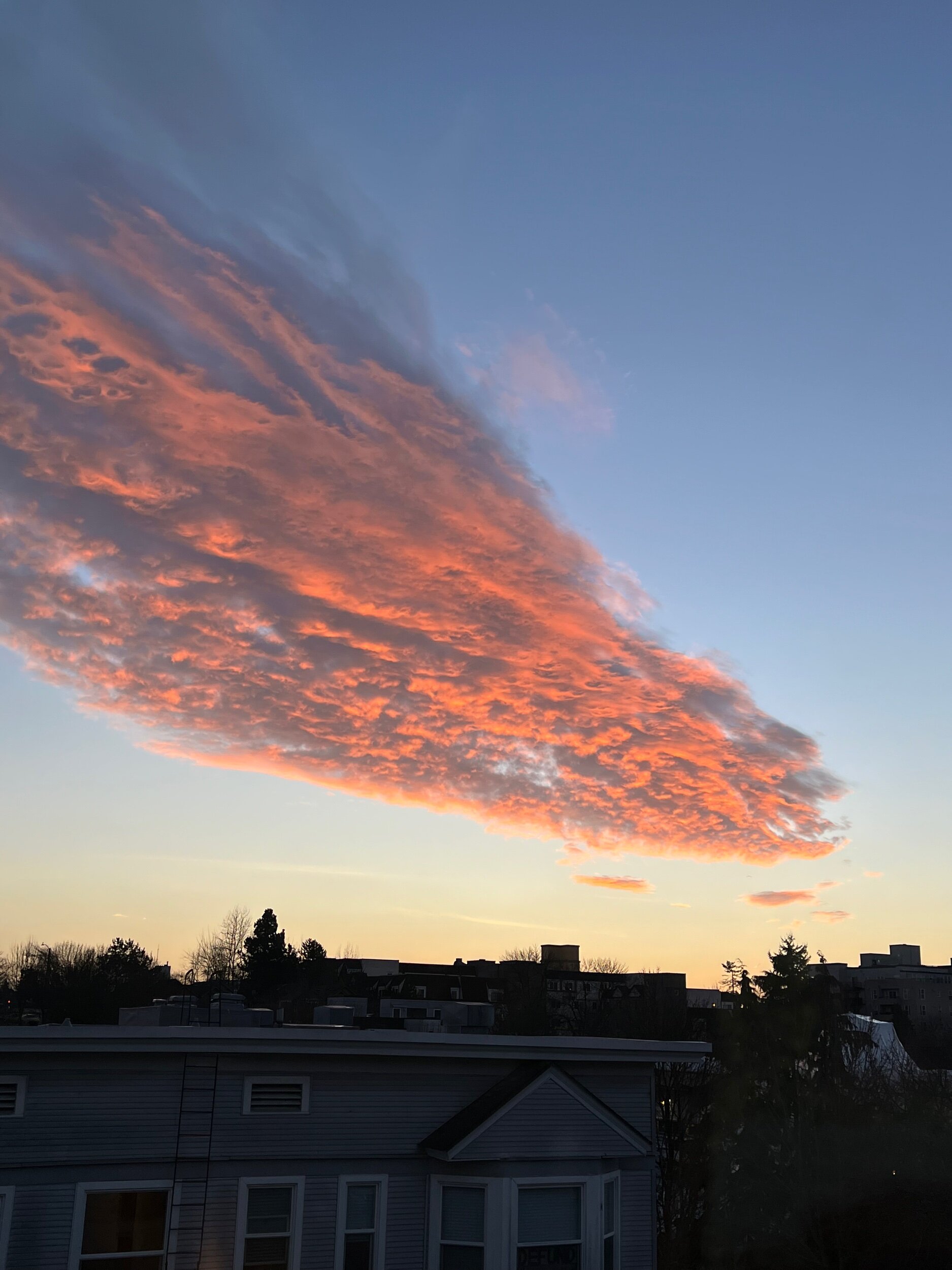 BA151B85-7B54-4FDA-95CA-E2C0A578ED6B