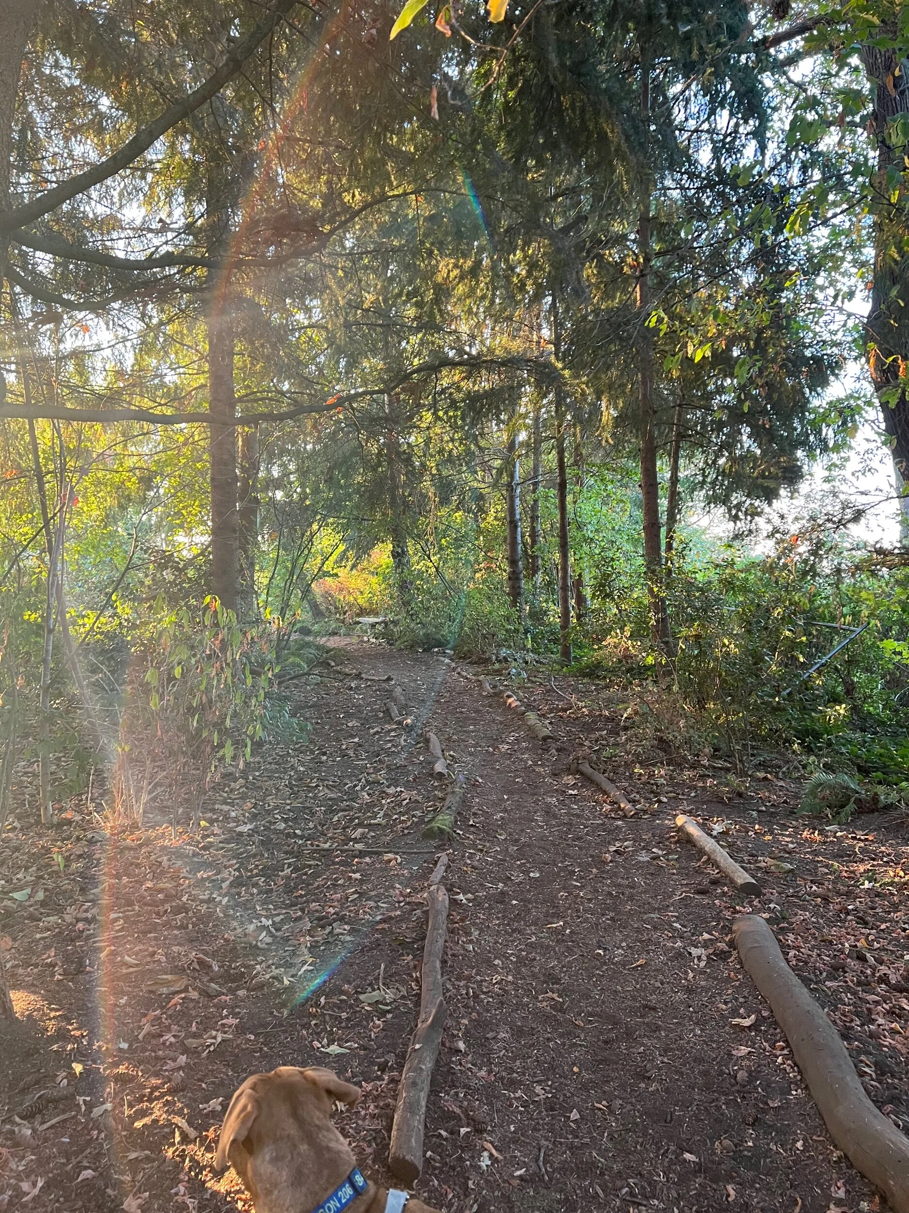 889671B9-9E7D-4282-BAB7-7B8D0844F42C