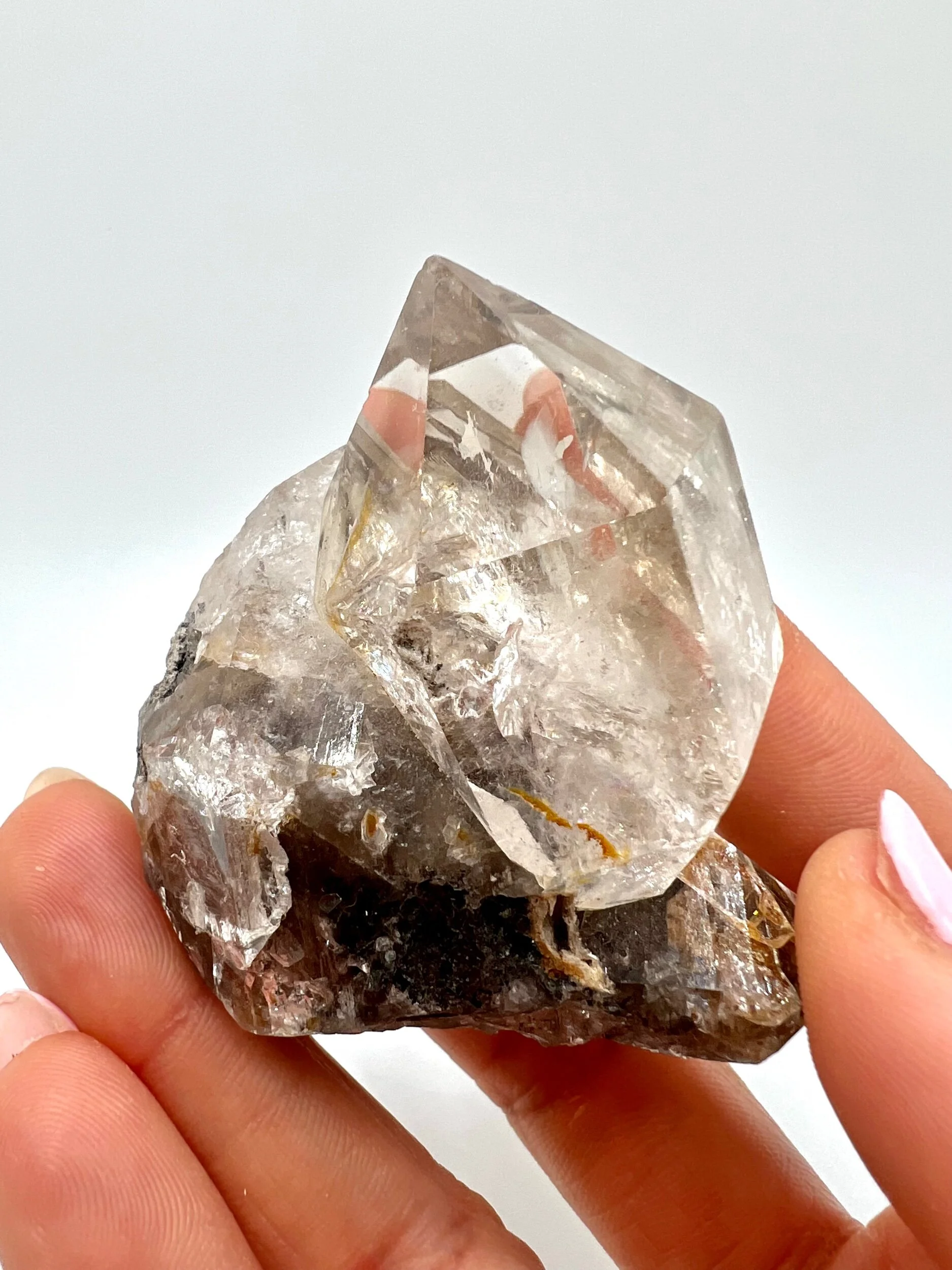 24A8F00B-6193-425F-8351-3A33298FB90B