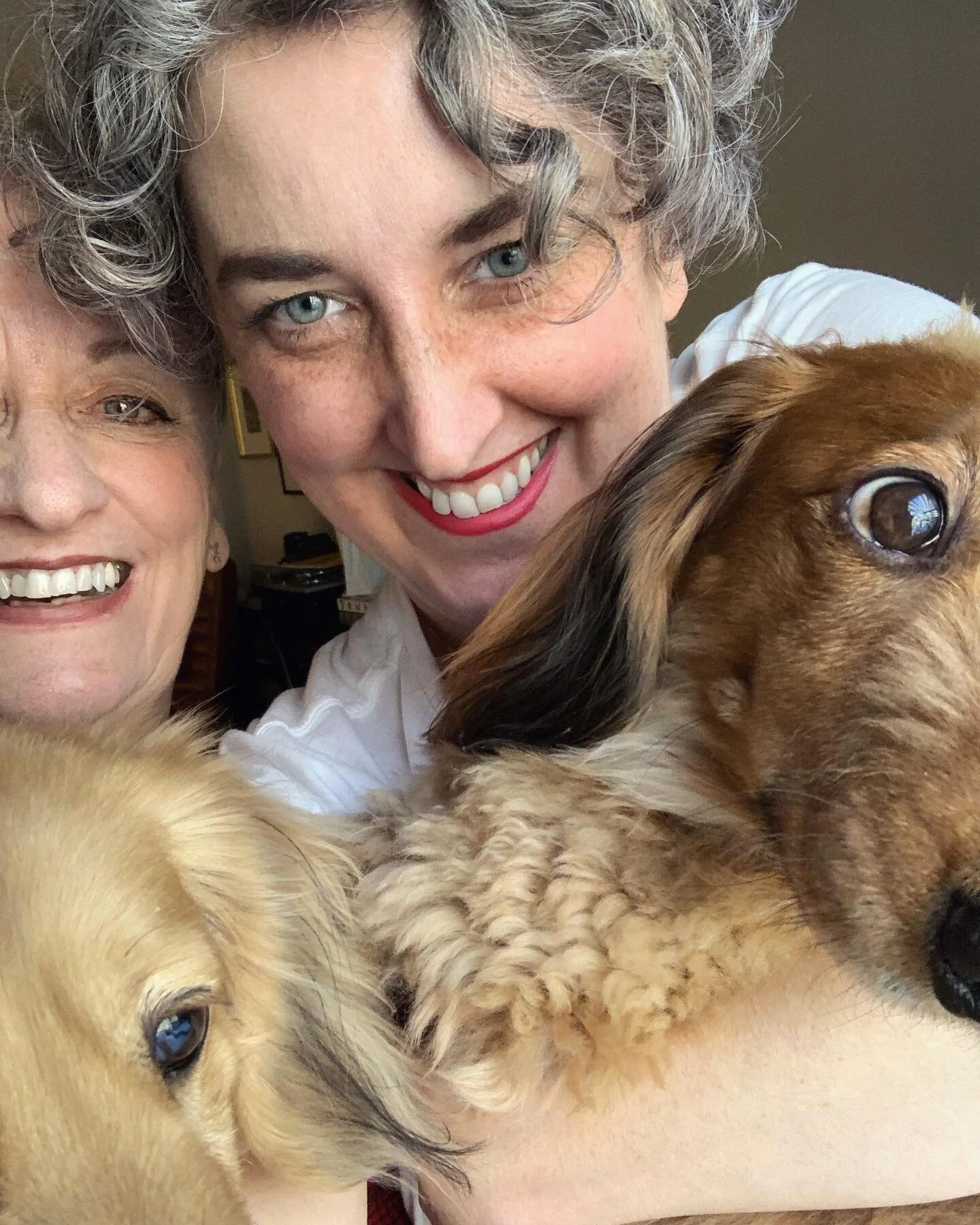 Happy Valentine&rsquo;s Day from the gang. #love #valentinesday