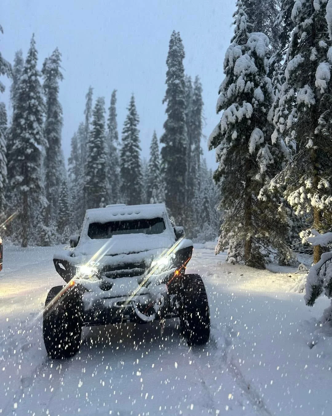 Winter storm warning in effect during fire season? 

#snow  #snowflakes #snowflakes❄
