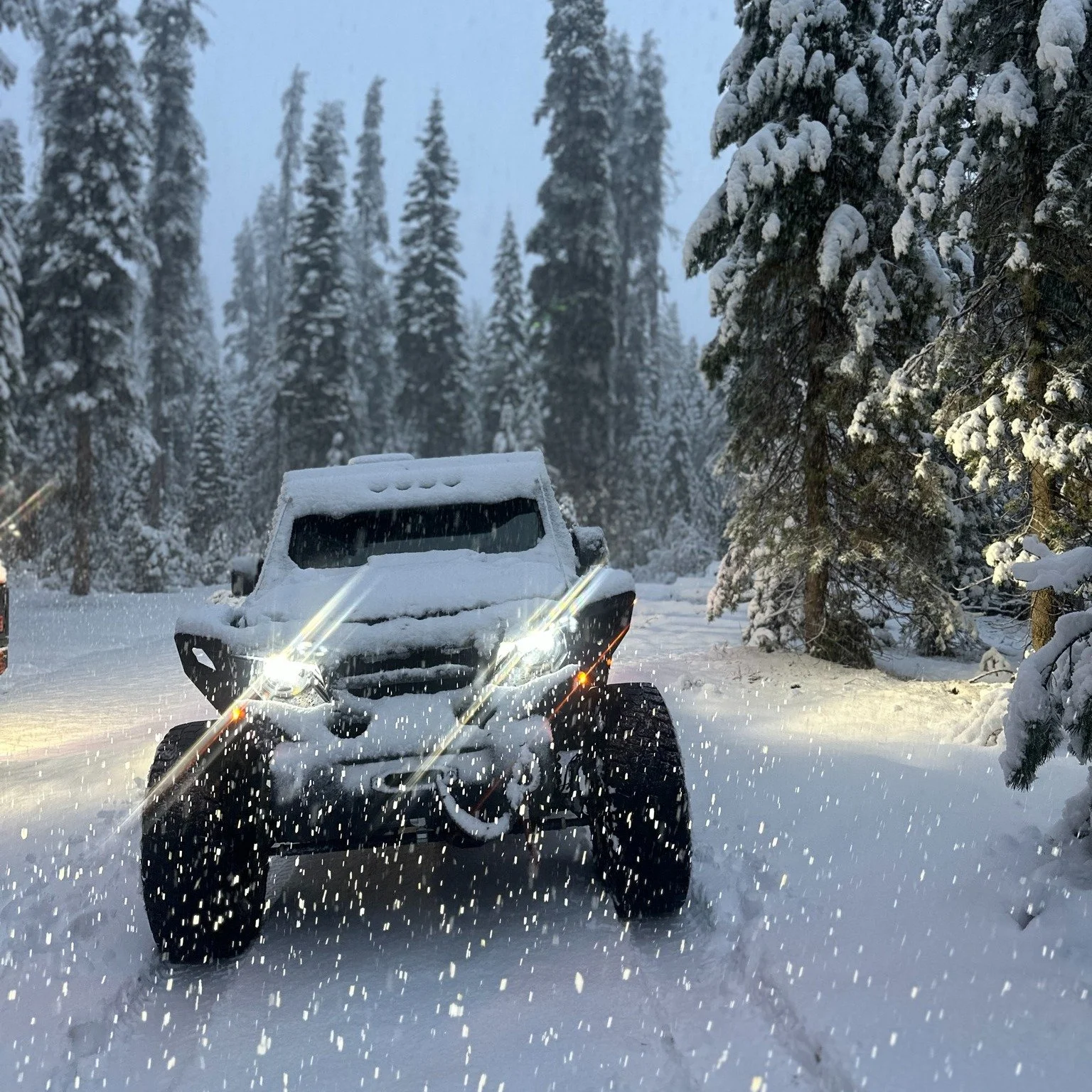 Let's go play in the snow!

#jeep #snow #snowstorm #snowmachine #winterstorm