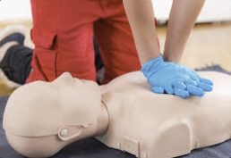 Screenshot 2026-03-19 at 11.53.01 AM.png