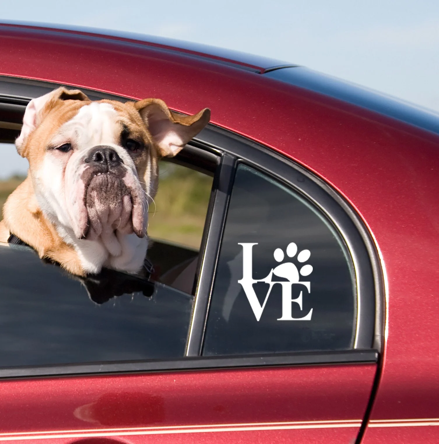 paw love_shutterstock_21255463 copy.jpg