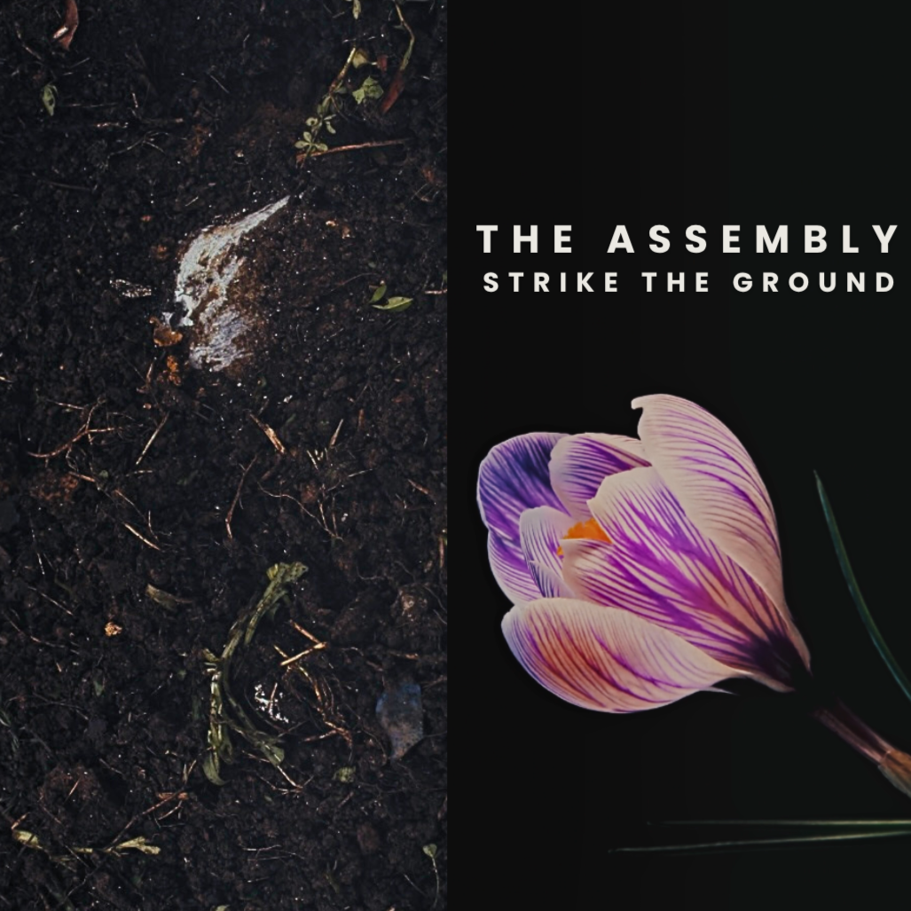 THE+ASSEMBLY+STRIKE+THE+GROUND.png (Copy)