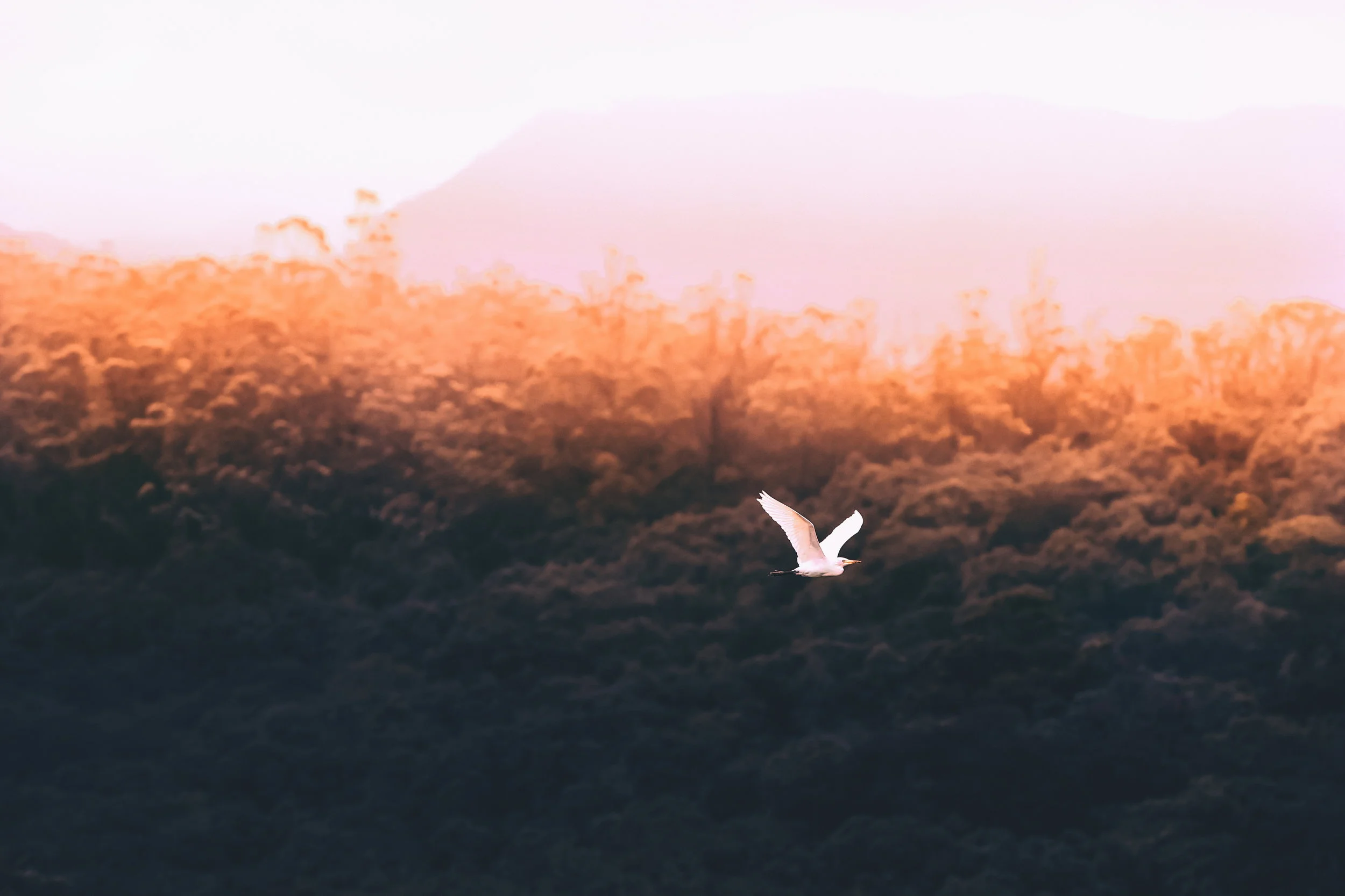 Confirmation Session: