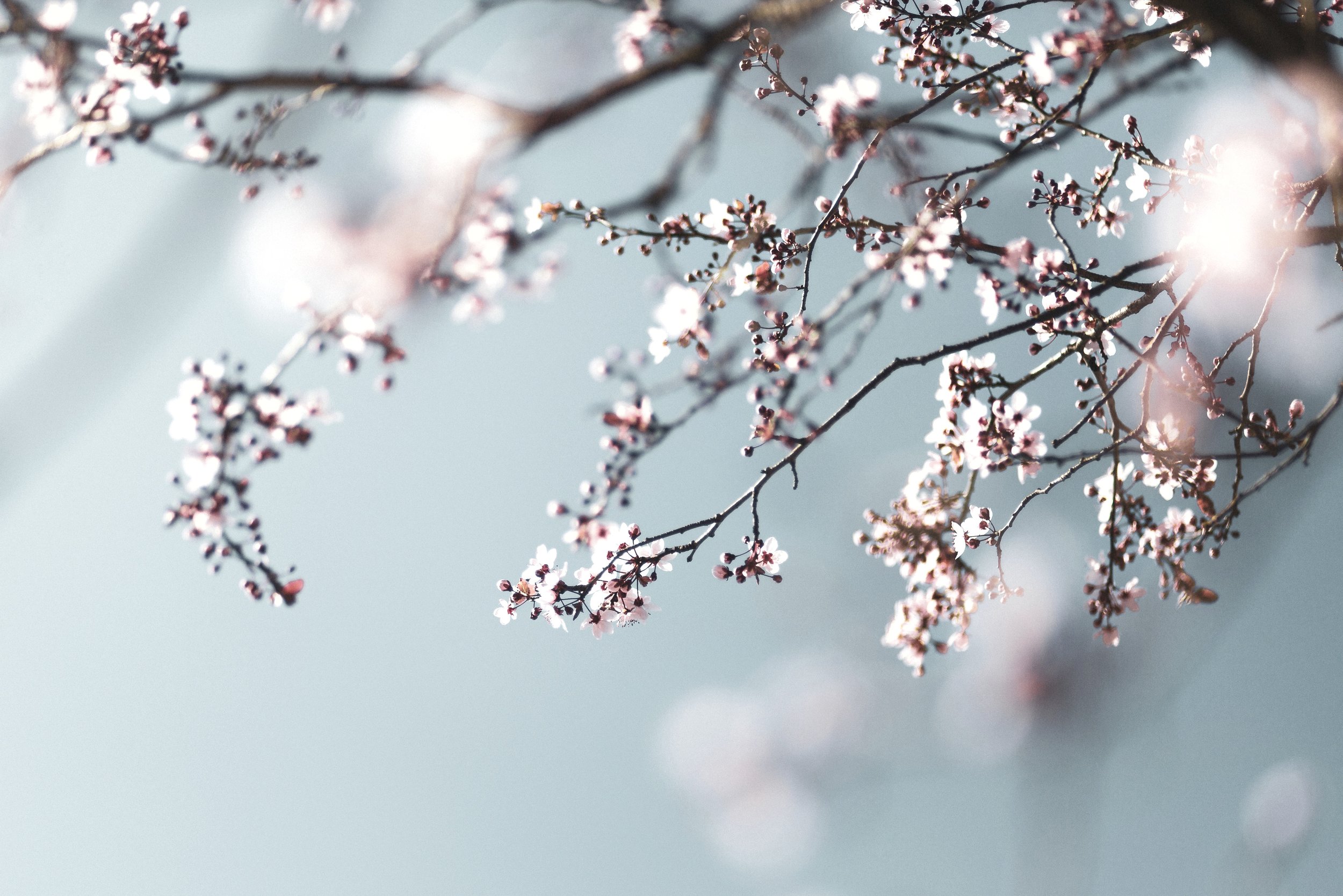 Letter from Bishop Rice