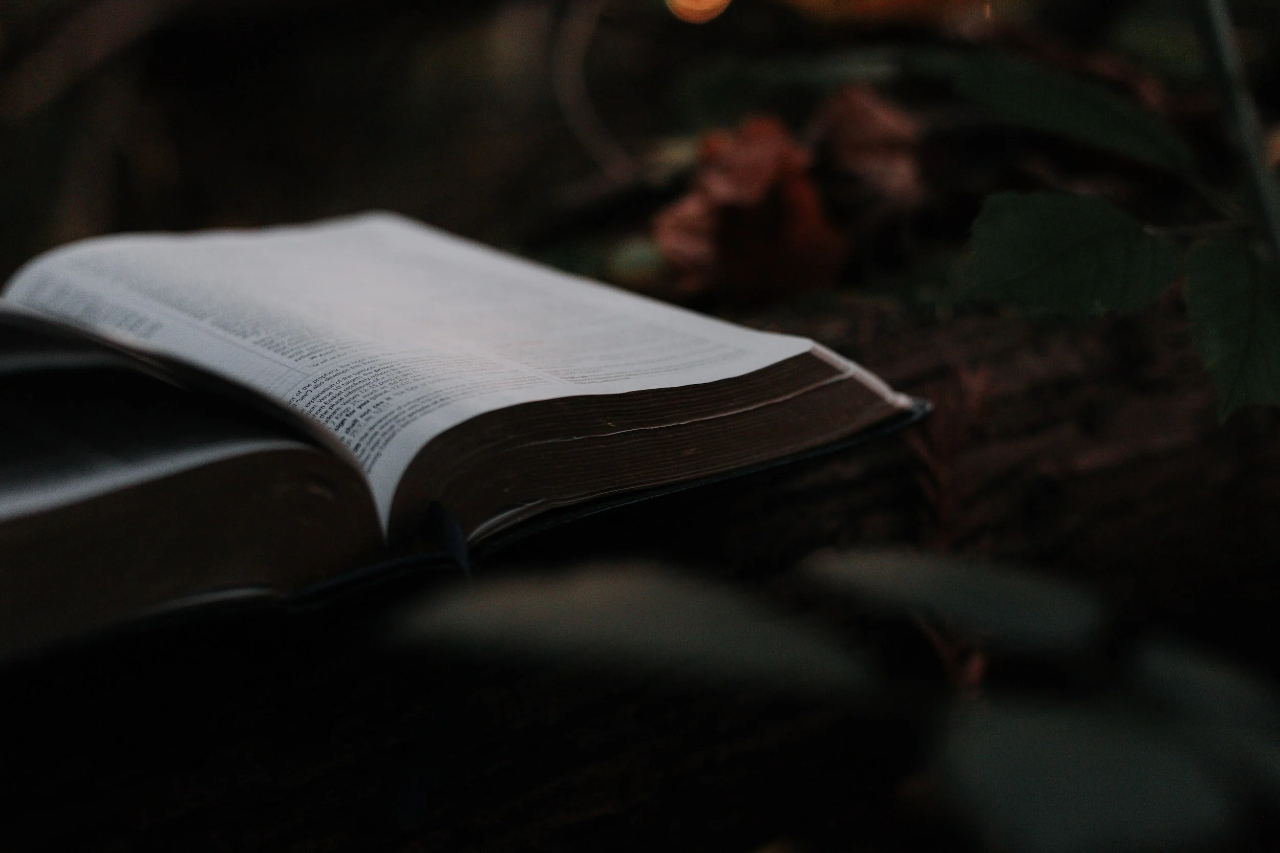 From the Pastor's Desk