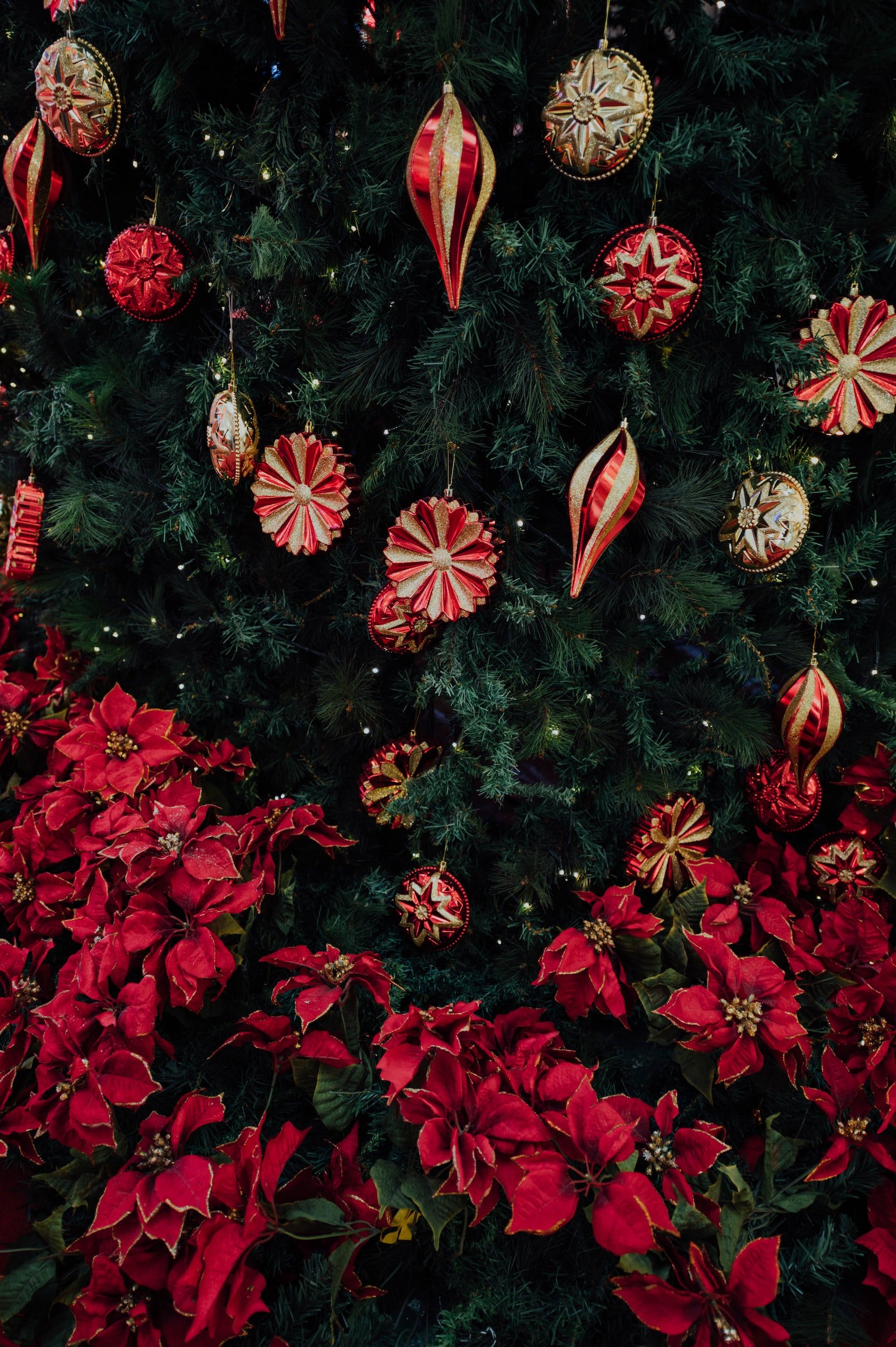 CHRISTMAS FLOWERS