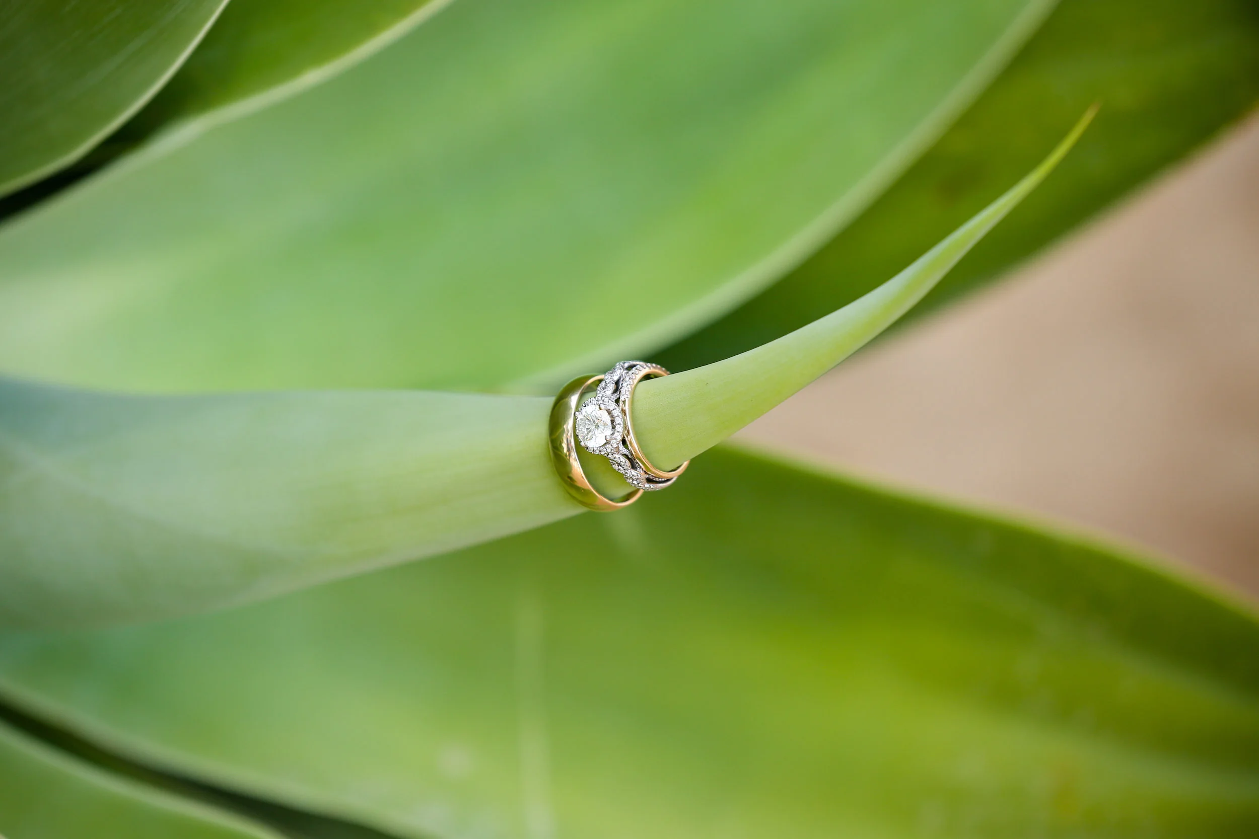 Derek and Amanda-433.jpg